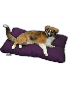 Matelas chien en 110x60 cm