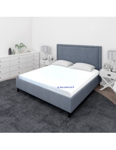 Matelas 160x200x20 cm aloe...